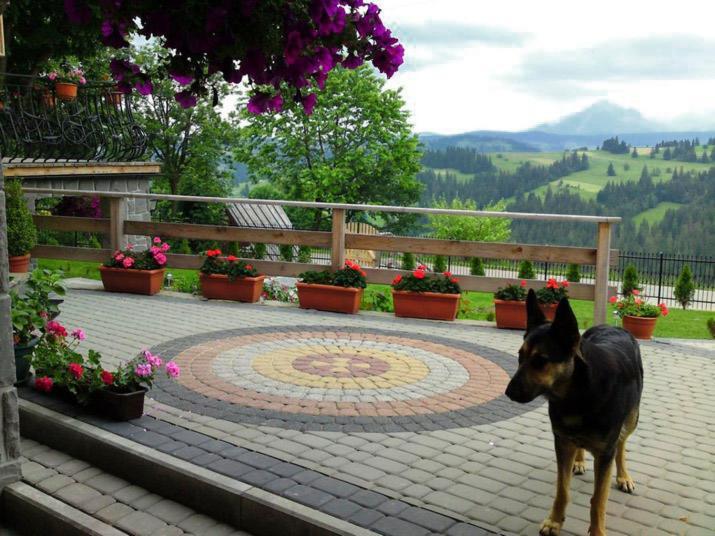 Goralska Chata بوستريك المظهر الخارجي الصورة