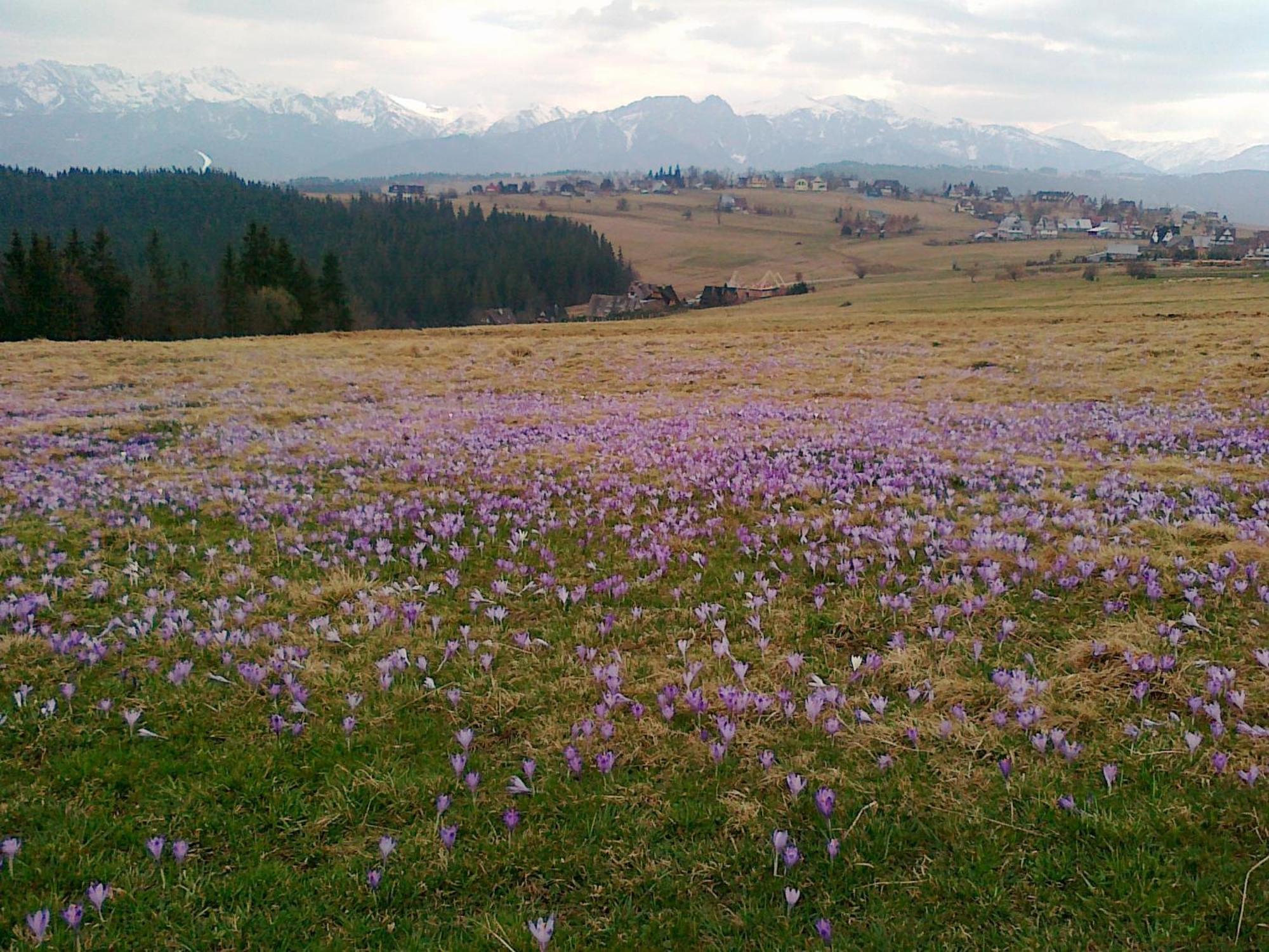Goralska Chata بوستريك المظهر الخارجي الصورة